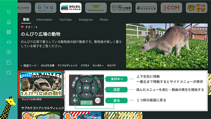 キャプチャ