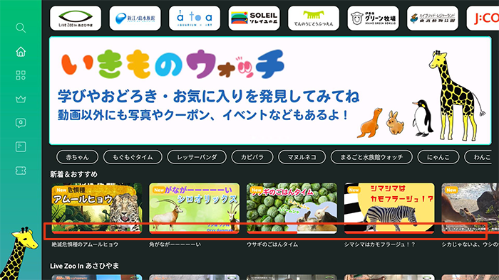 キャプチャ
