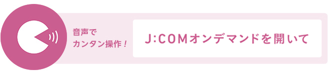 音声でカンタン操作！「J:COM STREAMについて」